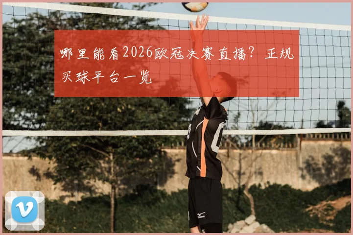 哪里能看2026欧冠决赛直播?正规买球平台一览