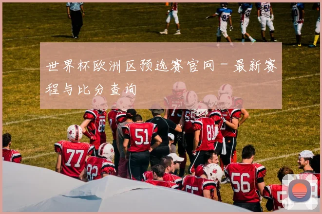 世界杯欧洲区预选赛官网 - 最新赛程与比分查询