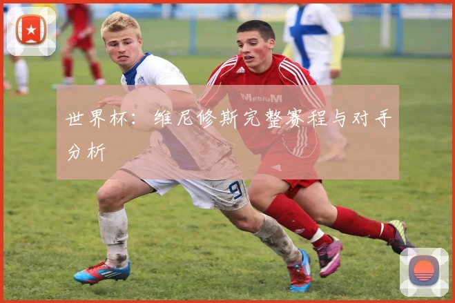 世界杯：维尼修斯完整赛程与对手分析