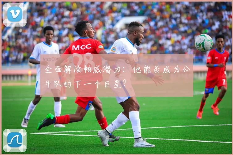 全面解读帕威潜力:他能否成为公牛队的下一个巨星?